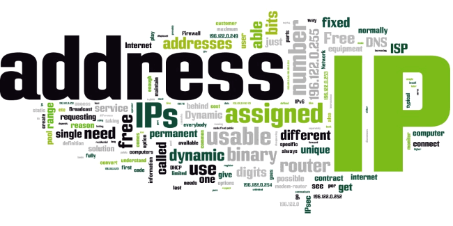 dns,dynamic,router