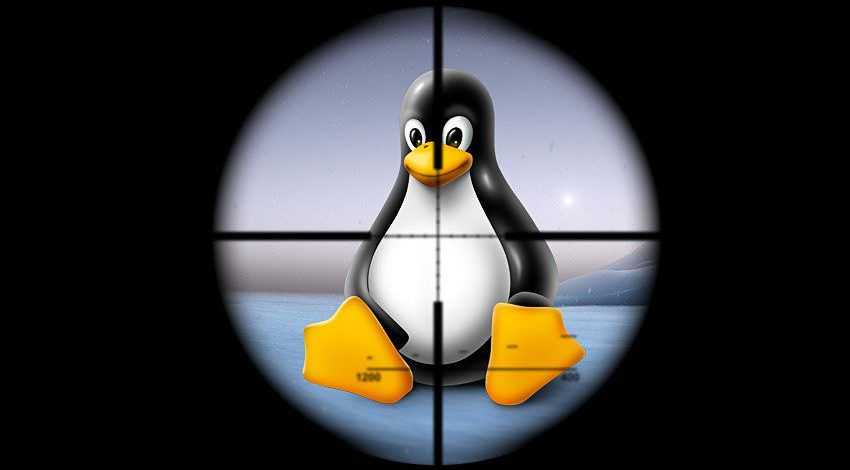 Linux malware