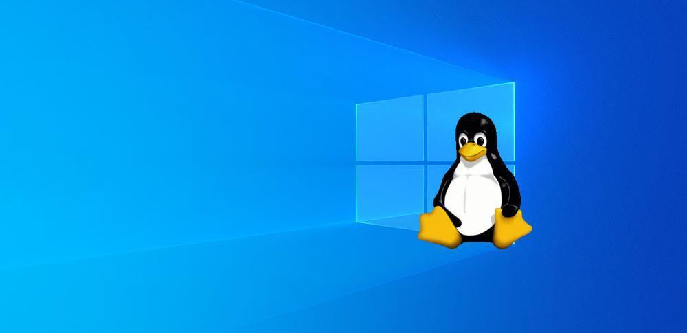 Windows Subsystem for Linux