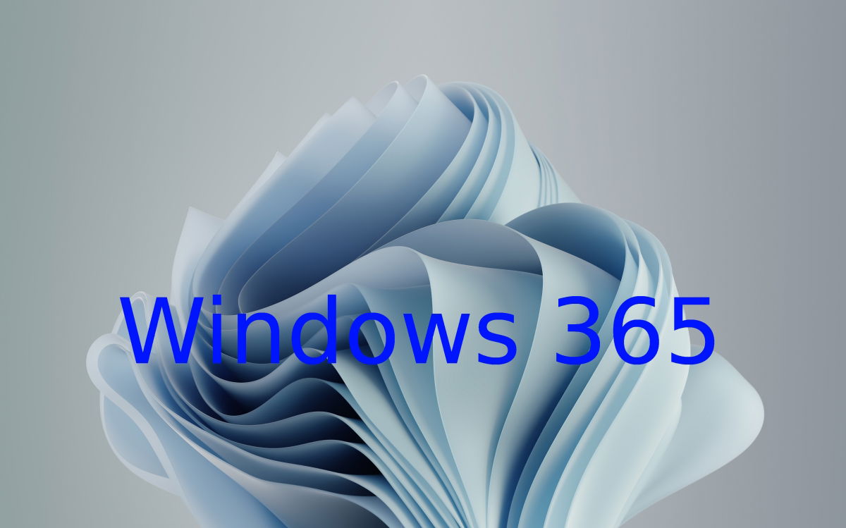 windows 365