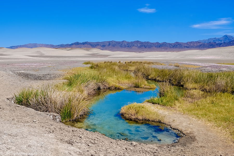 watering hole