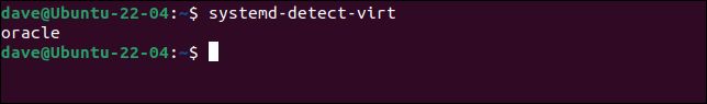 ubuntu systemd detect virt