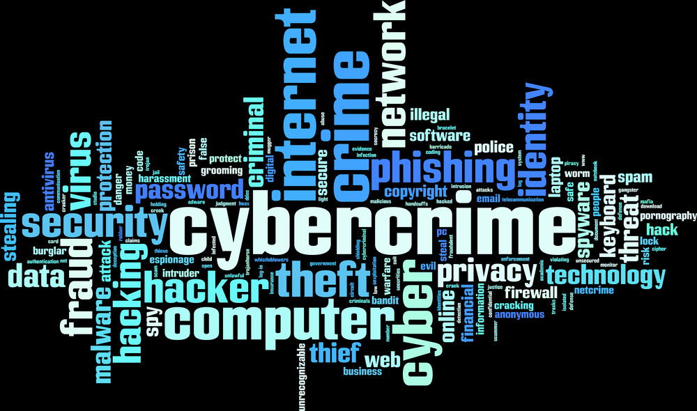 cyber crime