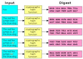 crypto4