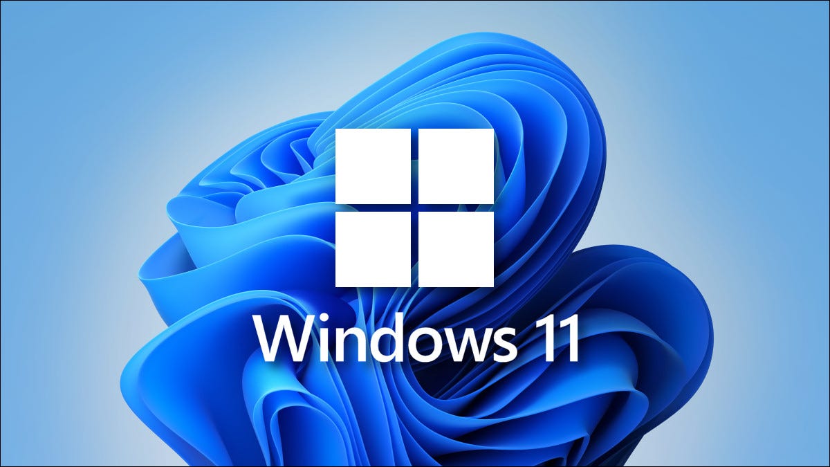 windows 11 logo