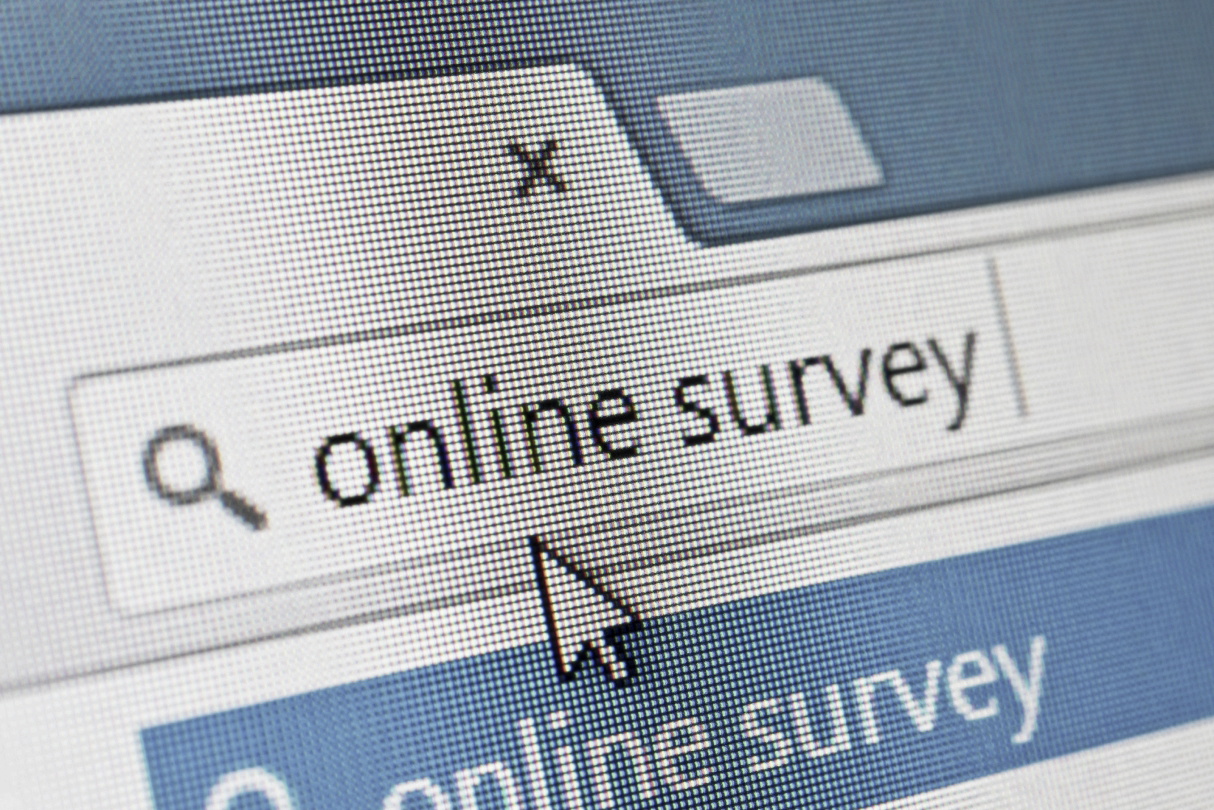 online survey