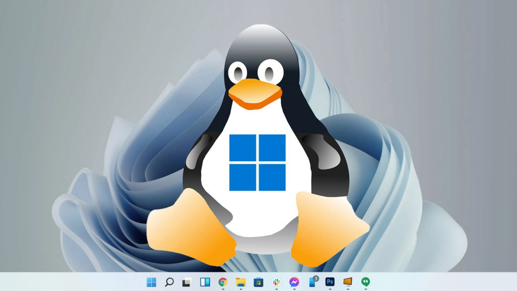 windows linux