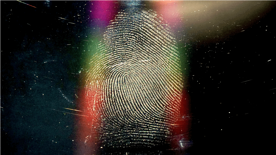 fingerprints