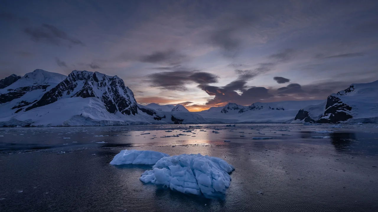 antarctic sea ice