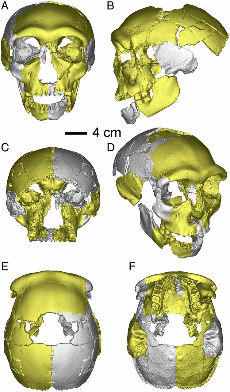 pnas sc