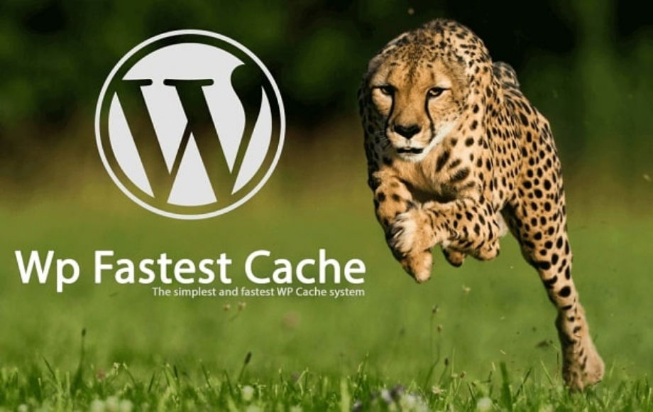 wpfastestcache